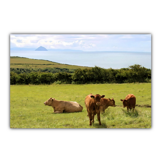 Canvas Art. Scottish Landscapes & Seascapes. Sliddery. Ailsa Craig View. Isle of Arran. Scotland.