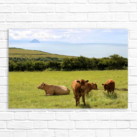 Canvas Art. Scottish Landscapes & Seascapes. Sliddery. Ailsa Craig View. Isle of Arran. Scotland.