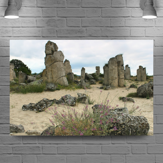 Canvas Art. Bulgarian Landscapes & Landmarks. Stone Forest. Varna. Bulgaria.