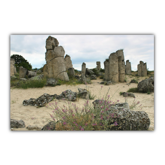 Canvas Art. Bulgarian Landscapes & Landmarks. Stone Forest. Varna. Bulgaria.