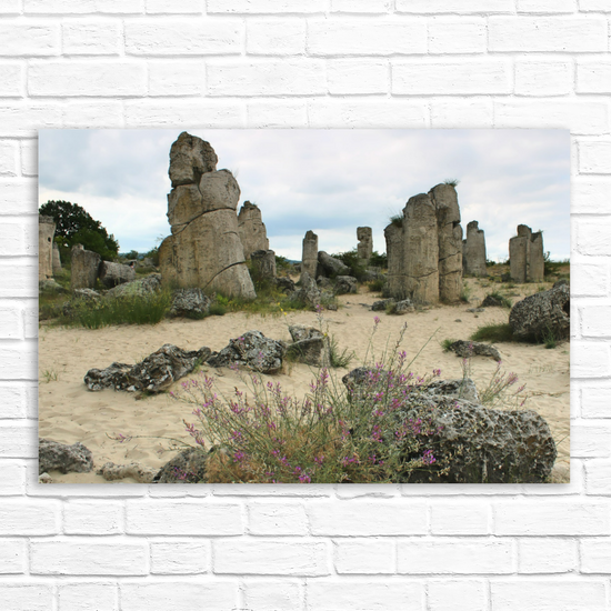 Canvas Art. Bulgarian Landscapes & Landmarks. Stone Forest. Varna. Bulgaria.