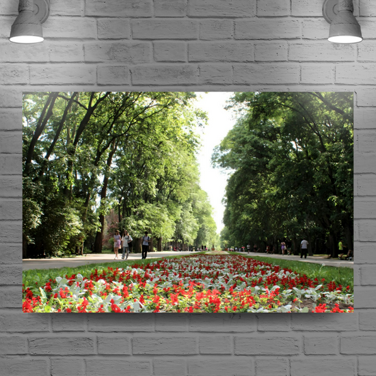 Canvas Art. Bulgarian Cityscapes & Nature. Sea Garden. Varna. Bulgaria.