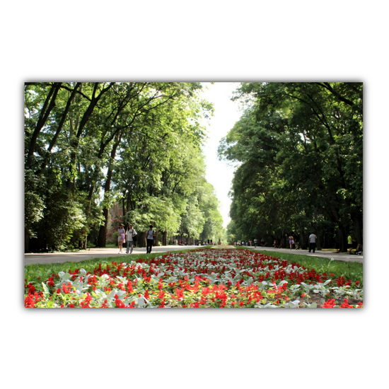 Canvas Art. Bulgarian Cityscapes & Nature. Sea Garden. Varna. Bulgaria.