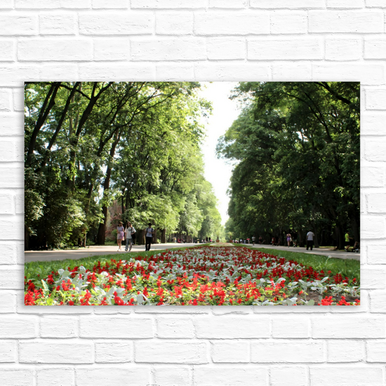 Canvas Art. Bulgarian Cityscapes & Nature. Sea Garden. Varna. Bulgaria.