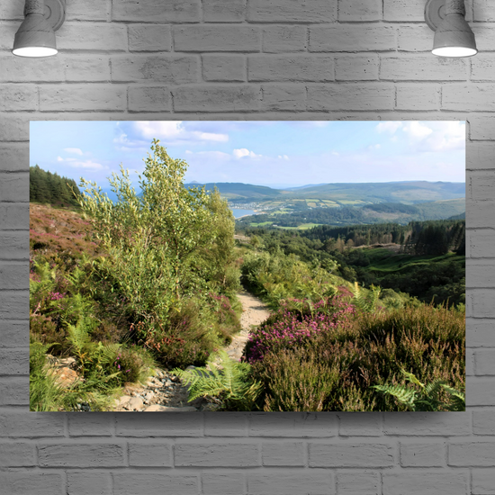Canvas Art. Scottish Landscapes & Seascapes. Goatfell Mountain Trail. Isle of Arran. Scotland.