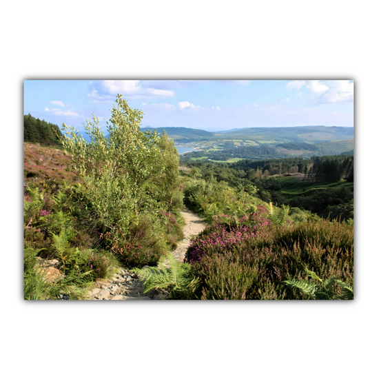 Canvas Art. Scottish Landscapes & Seascapes. Goatfell Mountain Trail. Isle of Arran. Scotland.