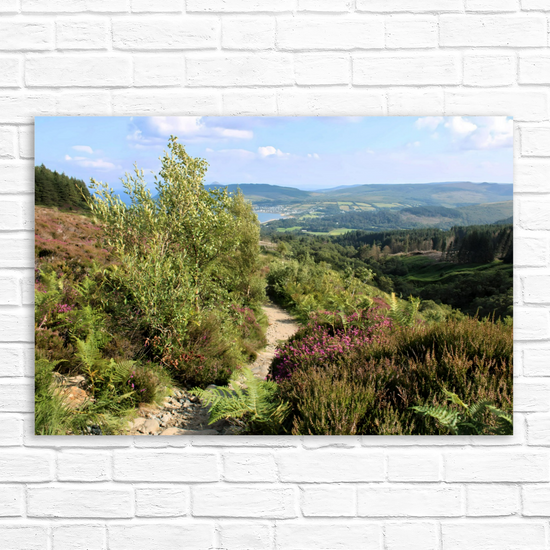 Canvas Art. Scottish Landscapes & Seascapes. Goatfell Mountain Trail. Isle of Arran. Scotland.