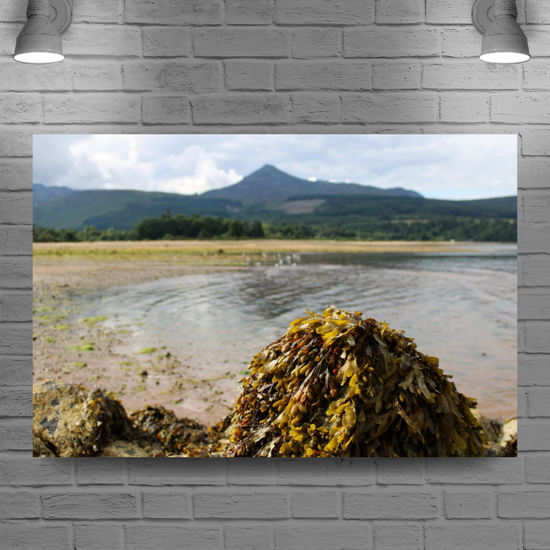 Canvas Art. Scottish Landscapes & Seascapes. Brodick. Goatfell Mountain. Isle of Arran. Scotland.