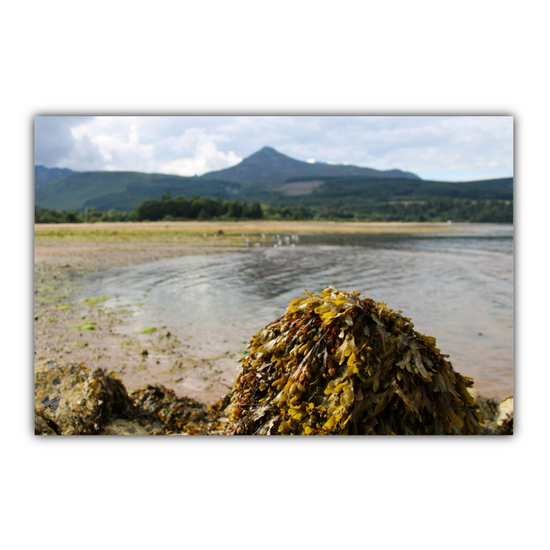 Canvas Art. Scottish Landscapes & Seascapes. Brodick. Goatfell Mountain. Isle of Arran. Scotland.