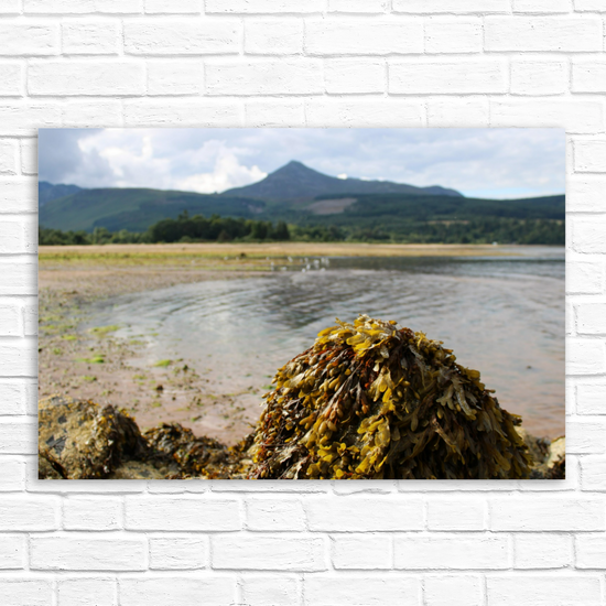 Canvas Art. Scottish Landscapes & Seascapes. Brodick. Goatfell Mountain. Isle of Arran. Scotland.