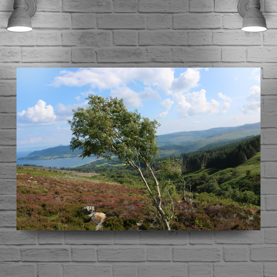 Canvas Art. Scottish Landscapes & Seascapes. Goatfell Mountain Trail. Isle of Arran. Scotland.