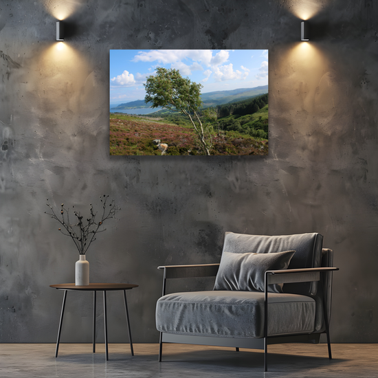 Canvas Art. Scottish Landscapes & Seascapes. Goatfell Mountain Trail. Isle of Arran. Scotland.