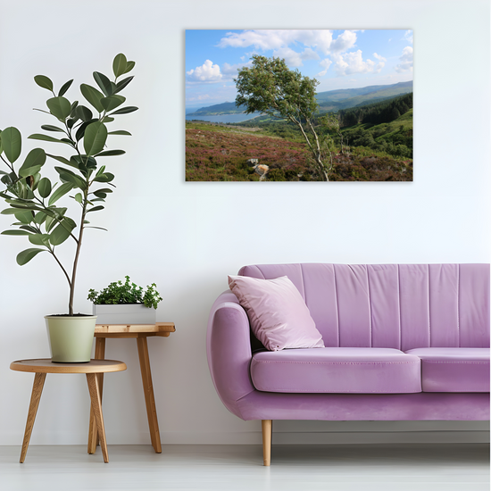 Canvas Art. Scottish Landscapes & Seascapes. Goatfell Mountain Trail. Isle of Arran. Scotland.