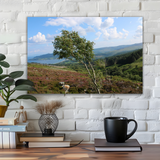 Canvas Art. Scottish Landscapes & Seascapes. Goatfell Mountain Trail. Isle of Arran. Scotland.