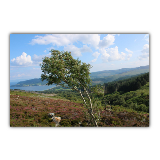 Canvas Art. Scottish Landscapes & Seascapes. Goatfell Mountain Trail. Isle of Arran. Scotland.