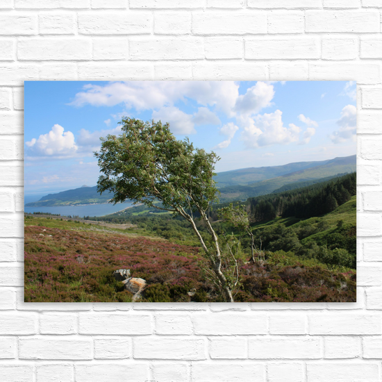 Canvas Art. Scottish Landscapes & Seascapes. Goatfell Mountain Trail. Isle of Arran. Scotland.