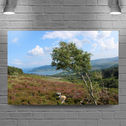 Canvas Art. Scottish Landscapes & Seascapes. Goatfell Mountain Trail. Isle of Arran. Scotland.