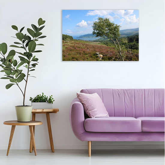Canvas Art. Scottish Landscapes & Seascapes. Goatfell Mountain Trail. Isle of Arran. Scotland.
