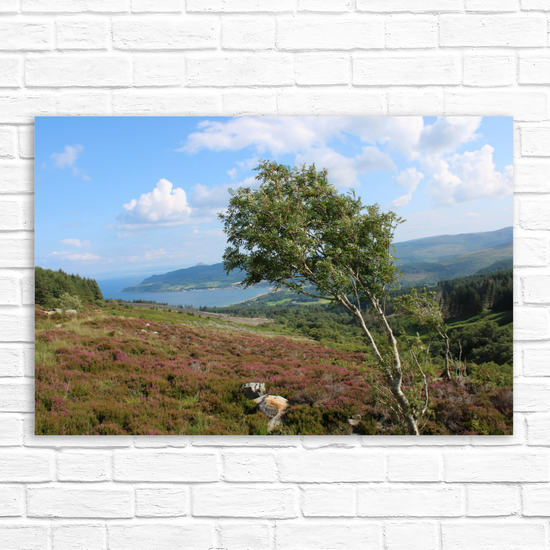 Canvas Art. Scottish Landscapes & Seascapes. Goatfell Mountain Trail. Isle of Arran. Scotland.