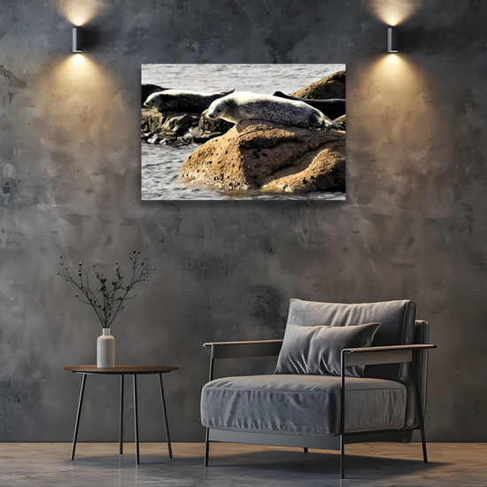 Canvas Art. Scottish Seascapes & Nature. Kildonan Beach. Isle of Arran. Scotland.