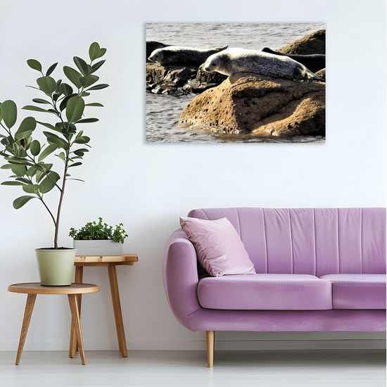 Canvas Art. Scottish Seascapes & Nature. Kildonan Beach. Isle of Arran. Scotland.