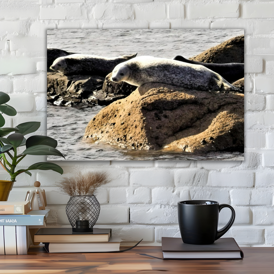 Canvas Art. Scottish Seascapes & Nature. Kildonan Beach. Isle of Arran. Scotland.
