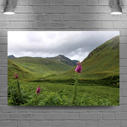 Canvas Art. Scottish Landscapes & Riverscapes. Glen Rosa Trail. Isle of Arran. Scotland.
