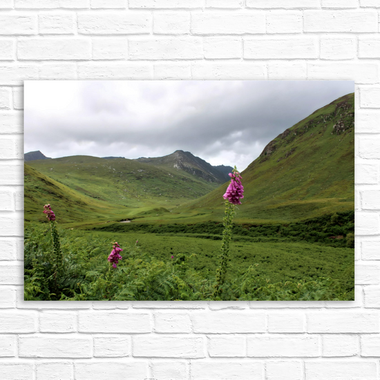 Canvas Art. Scottish Landscapes & Riverscapes. Glen Rosa Trail. Isle of Arran. Scotland.