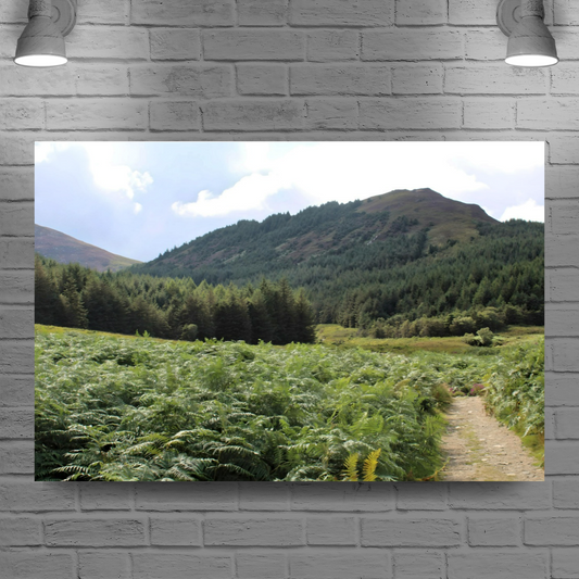 Canvas Art. Scottish Landscapes & Riverscapes. North Glen Sannox. Isle of Arran. Scotland.