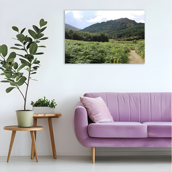 Canvas Art. Scottish Landscapes & Riverscapes. North Glen Sannox. Isle of Arran. Scotland.