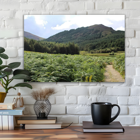 Canvas Art. Scottish Landscapes & Riverscapes. North Glen Sannox. Isle of Arran. Scotland.