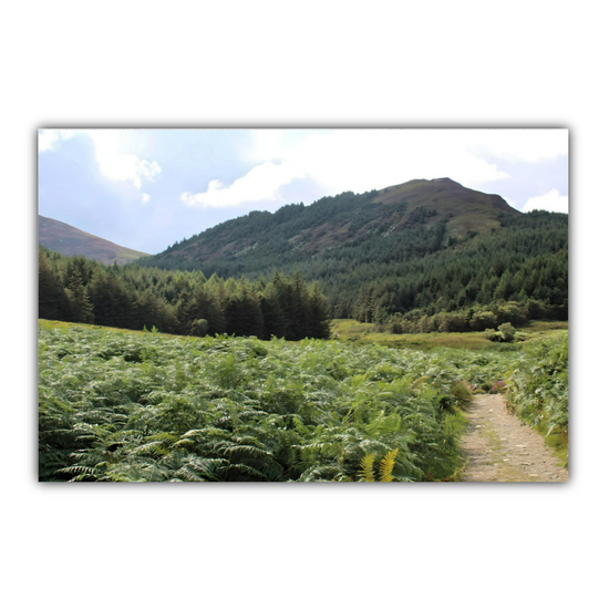 Canvas Art. Scottish Landscapes & Riverscapes. North Glen Sannox. Isle of Arran. Scotland.
