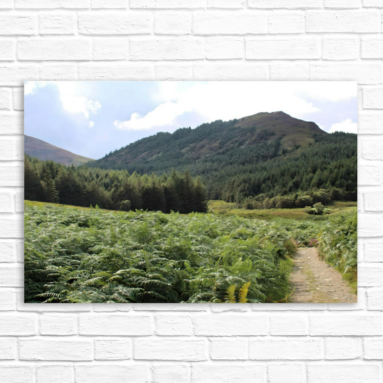 Canvas Art. Scottish Landscapes & Riverscapes. North Glen Sannox. Isle of Arran. Scotland.
