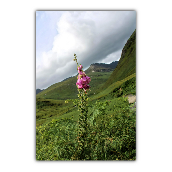 Canvas Art. Scottish Landscapes & Riverscapes. Glen Rosa Trail. Isle of Arran. Scotland.