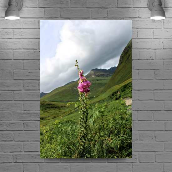 Canvas Art. Scottish Landscapes & Riverscapes. Glen Rosa Trail. Isle of Arran. Scotland.