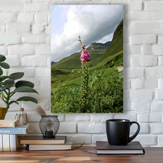 Canvas Art. Scottish Landscapes & Riverscapes. Glen Rosa Trail. Isle of Arran. Scotland.