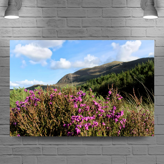 Canvas Art. Scottish Landscapes & Riverscapes. North Glen Sannox. Isle of Arran. Scotland.