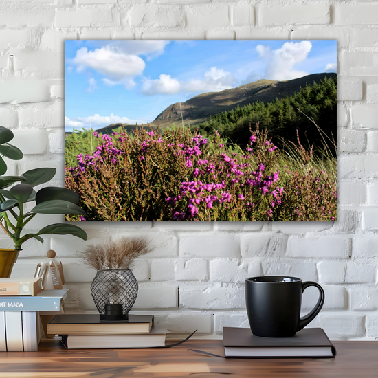 Canvas Art. Scottish Landscapes & Riverscapes. North Glen Sannox. Isle of Arran. Scotland.