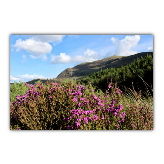 Canvas Art. Scottish Landscapes & Riverscapes. North Glen Sannox. Isle of Arran. Scotland.