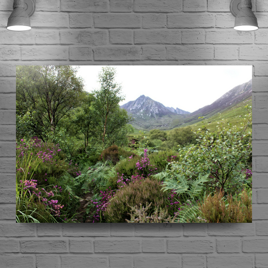 Canvas Art. Scottish Landscapes & Riverscapes. Glen Rosa Trail. Isle of Arran. Scotland.