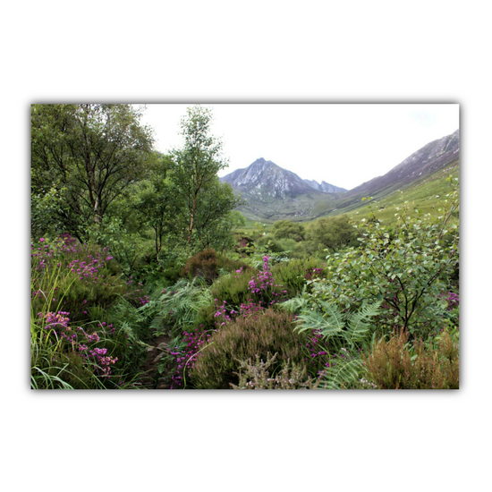 Canvas Art. Scottish Landscapes & Riverscapes. Glen Rosa Trail. Isle of Arran. Scotland.