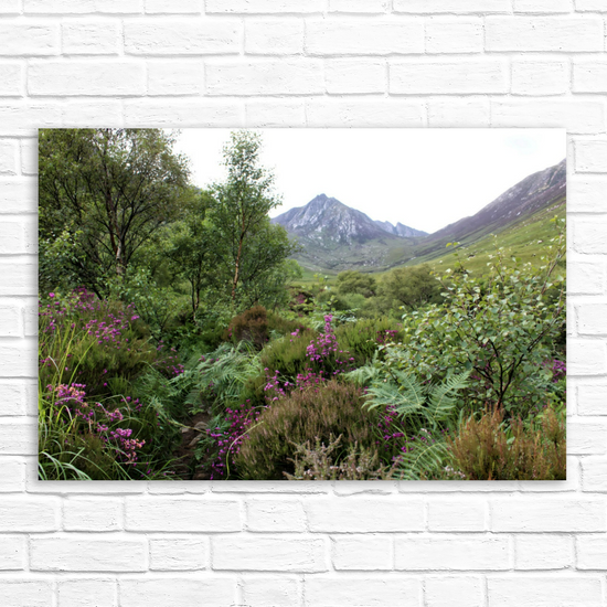 Canvas Art. Scottish Landscapes & Riverscapes. Glen Rosa Trail. Isle of Arran. Scotland.