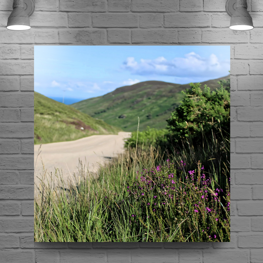 Canvas Art. Scottish Landscapes & Riverscapes. North Glen Sannox. Isle of Arran. Scotland.