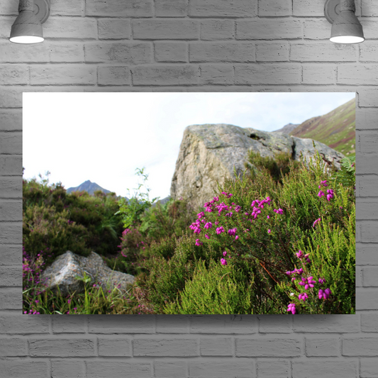 Canvas Art. Scottish Landscapes & Riverscapes. Glen Rosa Trail. Isle of Arran. Scotland.