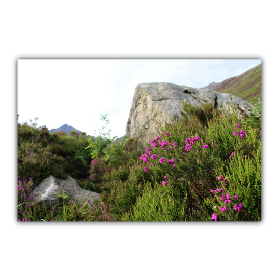Giclée Mounted Wall Art Prints. The Glen Rosa Trail. Isle of Arran. Scotland.
