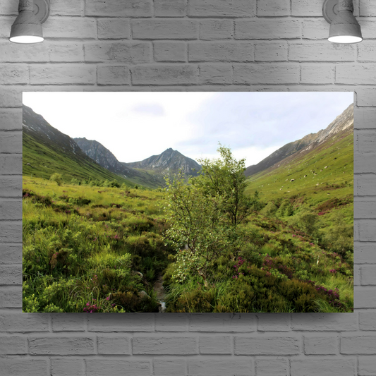 Canvas Art. Scottish Landscapes & Riverscapes. Glen Rosa Trail. Isle of Arran. Scotland.