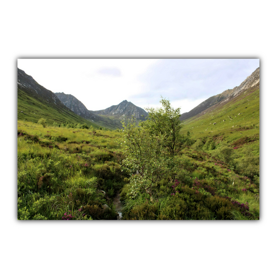 Canvas Art. Scottish Landscapes & Riverscapes. Glen Rosa Trail. Isle of Arran. Scotland.