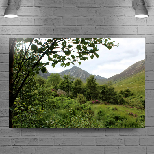 Canvas Art. Scottish Landscapes & Riverscapes. Glen Rosa Trail. Isle of Arran. Scotland.