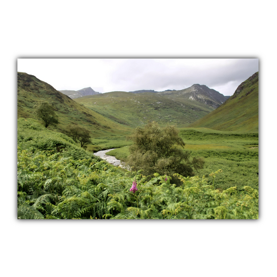 Giclée Mounted Wall Art Prints. The Glen Rosa Trail. Isle of Arran. Scotland.