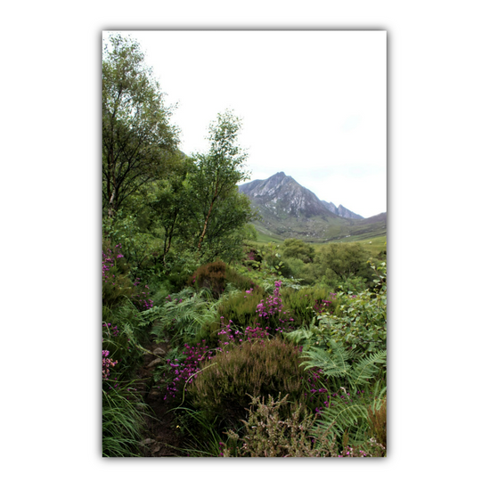 Canvas Art. Scottish Landscapes & Riverscapes. Glen Rosa Trail. Isle of Arran. Scotland.
